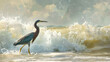 A Tricolored Heron fishes in the surf.