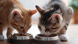 Two cats eating cat food in a cat bowl.