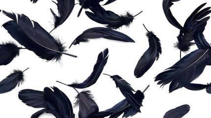 Wall Mural - crow feathers falling on white background