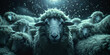 A group of sheep standing in a dark field with dark bokeh background with light Moon sky sheep Ai Generative