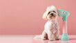 Automated pet grooming devices for pet care soli