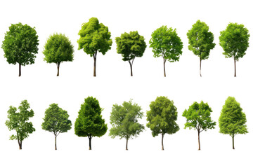 Set of green trees isolated on whiteisolated on transparent and white background.PNG image.	
