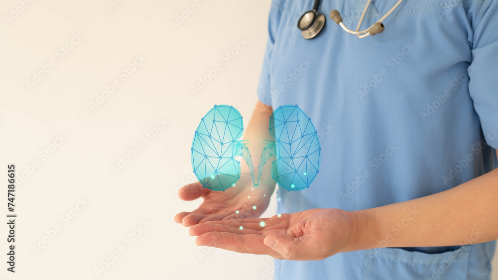 World kidney day. Nephrologist doctor check up kidney organ hologram. Medical technology for diagnose kidney disease. Renal transplant, organ donation concept. Nephrology.