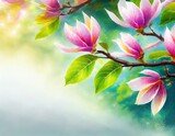 Fototapeta  -  Kwitnące gałązki magnolii na białym tle. Wiosenne tło z miejscem na tekst