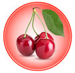 Sweet cherry berry, three on a branch with green leaf