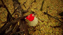 Alone In The Autumn Forest, A Woman Dances Ballet. Her Elegant Movements Gently Flow Among The Yellow Leaves, Expressing A Poem Of Beauty And Peace In Her Body Language. High Quality 4k Footage