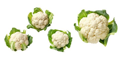 Wall Mural - Collection of fresh cauliflowers with green leaves, isolated on a transparent background. PNG, cutout, or clipping path.	
