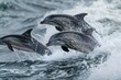 Group of Dolphins Leaping Out of Ocean in Darktable Processing Style