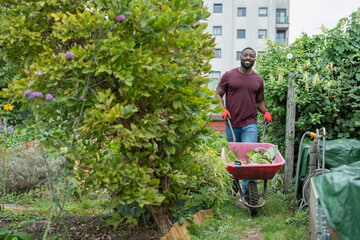 Wall Mural - Portrait of smiling man with vegetables in wheelbarrow in urban garden