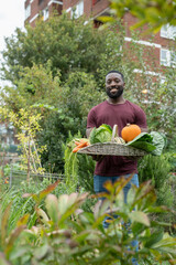 Wall Mural - Portrait of smiling man holding basket with fresh vegetables in urban garden