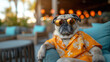 Portrait of a  pug wearing trendy mirror sunglasses and Hawaiian shirt chilling in the lounge bar