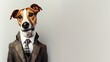 a Dog wearing a suit with a tie on a plain white background on the left side of the image and the right side blank for text,
