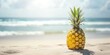 Pineapple on Tropical Beach with Copy Space