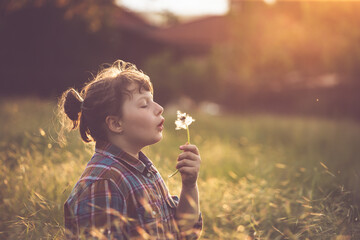 Wall Mural - Cute little girl having fun in a dandelion field