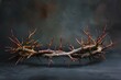 Explore the symbolic significance and intricate details of a crown of thorns in this realistic and professional photograph, capturing its artistic portrayal with depth and meaning.