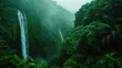 This image is of a beautiful waterfall in a lush green jungle.