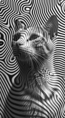 Wall Mural - A black and white photo of a cat