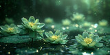 Fototapeta Kwiaty -  A filled lotus flower in pond after rain in lake .pure lotus flower with green leaves on still water in sunshine with sparkles and shimmering light.  lotus Beautiful blooming under dark forest backgr