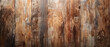 An old wooden wall showing knots and grain creating a natural textured backdrop