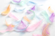 Colorful feathers on white background, soft pastel feathers can use as a backdrop. Beautiful feathers texture.
