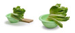 Various Romaine lettuce leaves in green plastic bowl isolated on white background