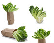 Various Romaine lettuce leaves in paper bag and glass bowl isolated on white background