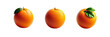 Set of Orange, illustration, isolated over on transparent white background