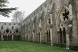 view of cloisters at Salisbury cathedral Wiltshire England