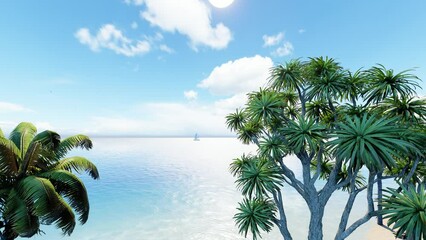 Wall Mural - Palm and tropical beach. The best beaches in the world. Loop video sunny beach. 