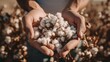 © Fotograf - Person holding a bunch of cotton, suitable for agriculture or textile industry concepts