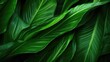 Detailed close-up of a vibrant green leafy plant, suitable for nature or gardening concepts
