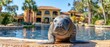 a seal is sitting on the edge of a pool in front of a large house with a swimming pool in front of it.