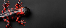 A Red And Black Frog With Black Spots On It's Body Sitting On A Black Surface With Red And Black Spots On It's Body.