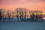Fototapeta Do pokoju - Wschód słońca na wsi zimą, widok zza drzew. Krajobraz wiejski o wschodzie słońca w zimowy poranek