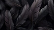 close up of texture - black feathers
