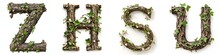 Alphabet Letters Z, H, S, U Made Of Wood And Green Leaves Isolated On White