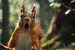 Surprised squirrel in a natural forest setting - A vivid close-up of a startled squirrel in its natural woodland habitat, expressing a dramatic sense of surprise