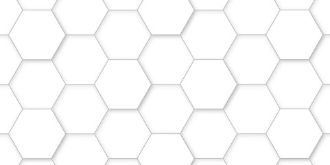Abstract background with white hexagons and seamless pattern in vector design . luxury white pattern geometric mesh cell texture .hexagon 3d background texture design .