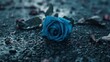 blue rose on a stone