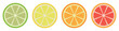 Citrus fruit icons set. Lime, lemon, orange and grapefruit slice. Collection citrus of vector icons isolated. Vector illustration
