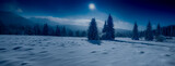 Fototapeta Kwiaty - winter landscape