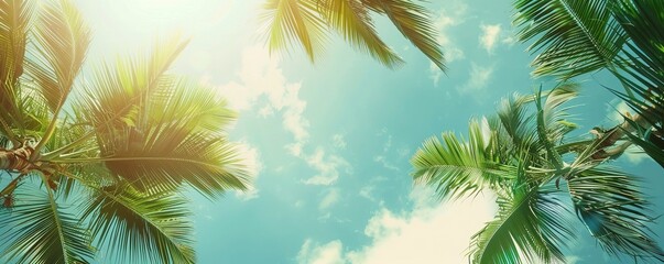Wall Mural - Palm Sunday concept: green palm tree leaves on natural sky