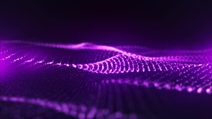 Canvas Print - fuchsia abstract digital waves seamlessly flowing surrounded by soft purple light. technology, busin