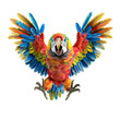 Macaw parrot doll on transparent background PNG