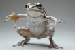 Funny frog standing on its hind legs. The toad spreads its strange fingers for better balance. Beautiful amphibian isolated on gray gradient background.