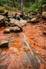 Wall Mural - A small creek flows through the red rocks of Damfino Canyon near Sedona Arizona