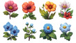 Kolekcja różnych odizolowanych gatunków kwiatów. Kwiaty są różnokolorowe i wydają się świeże i pięknie ułożone z liśćmi. Piękny zestaw