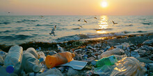 Seashore Full Of Garbage And Seagulls Eating The Debris In The Water At Sunset. Image Created With AI