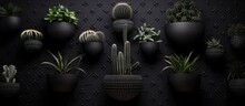 A collection of cactuses and cacti stand against a black and white patterned wall. The spiky plants contrast with the geometric background, creating a striking visual display.