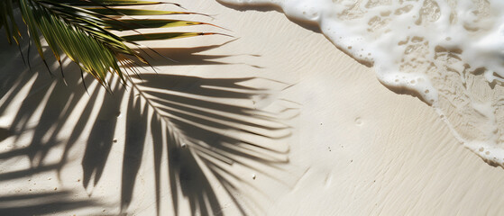 Wall Mural - Palm Tree Leaf with Palm Leaf Shadows on the Beach